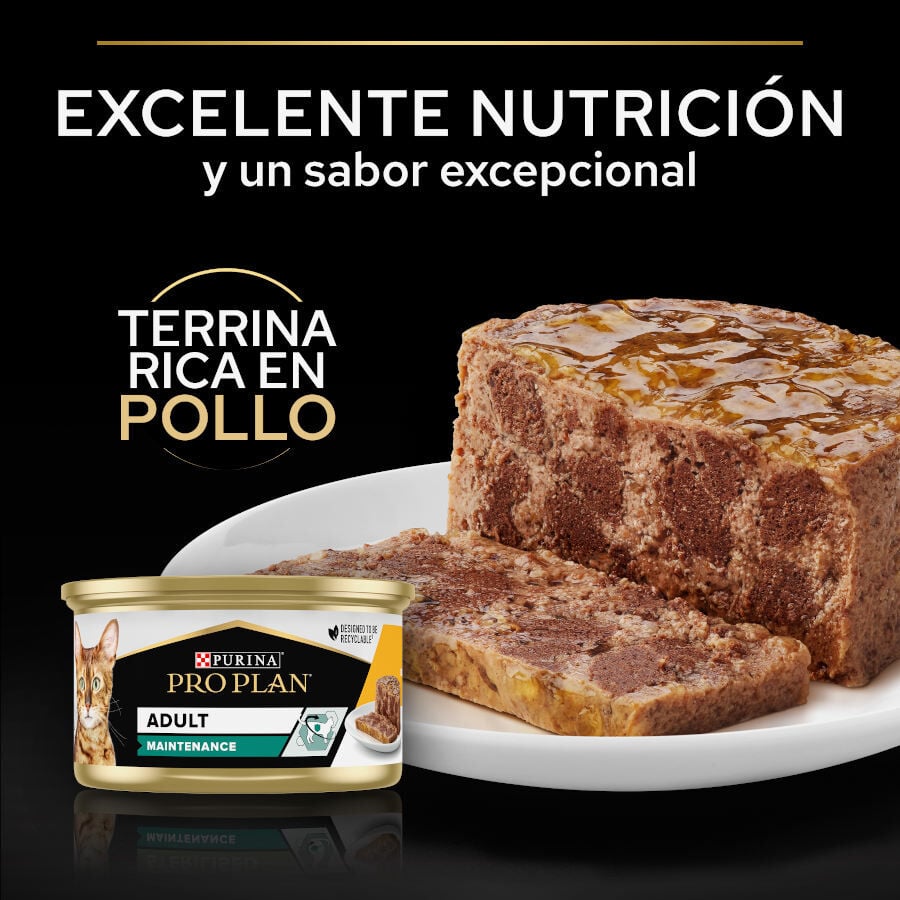 85 g Pro Plan Adult Maintenance Terrina rico en pollo para gatos, , large indicador imagen numero 4